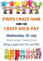 Crazy Hair and Sock Day - Kindy A